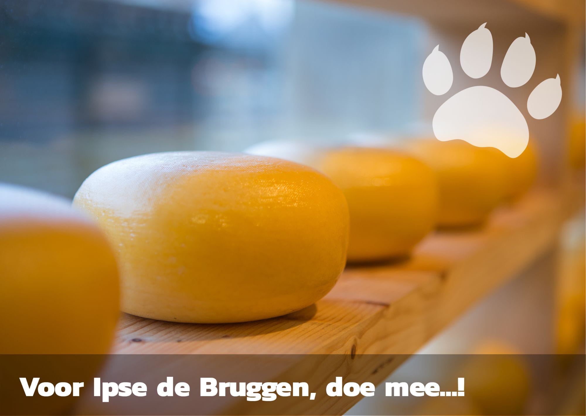 Kom maar op met jouw idee!